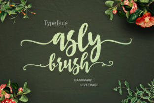 Asly Brush Typeface Review for Brand Design