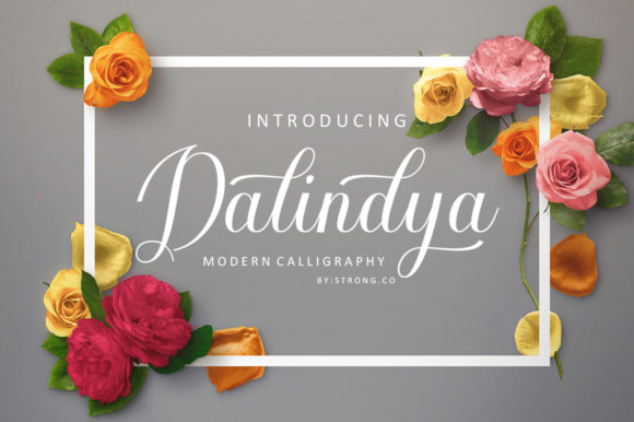 Dalinya Font Review: A Premium Script for Elegant Design
