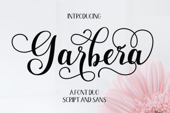 Garbera Duo: The Perfect Editorial Typeface Pair