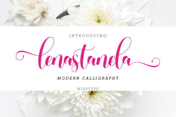 Lenastanela Font: Elevating Campaign Visuals