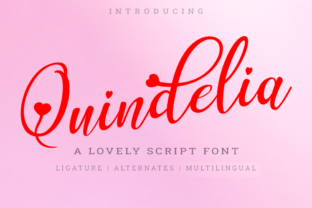 Quindelia Font: Elevate Your Campaign Visuals