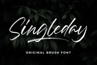 Singleday: A Modern Script Font for Campaigns