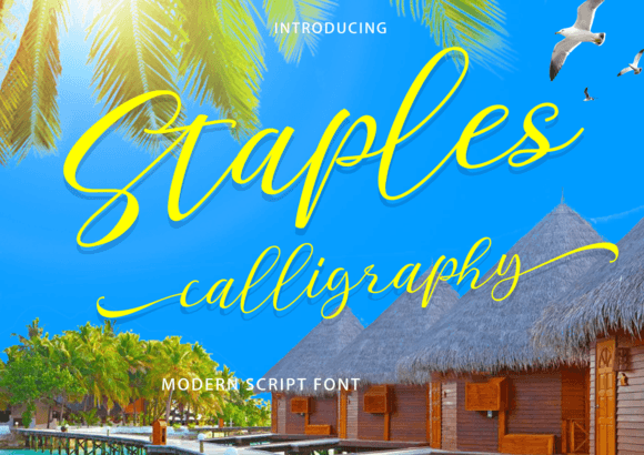 Staples Calligraphy Font Review for Brand Designers