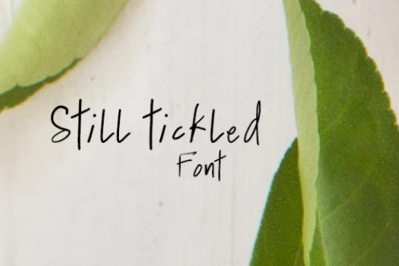 Still Tickled Font for Modern Branding